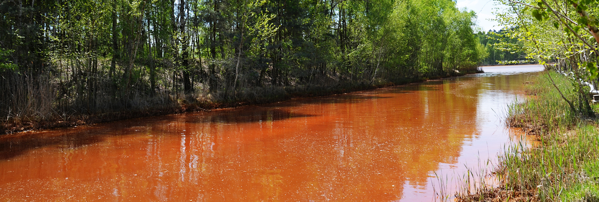 Durch hohe Eisengehalte rot gefärbtes Fließgewässer