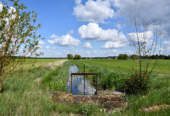 Wasserrückhalt als Klimaanpassungsmaßnahme