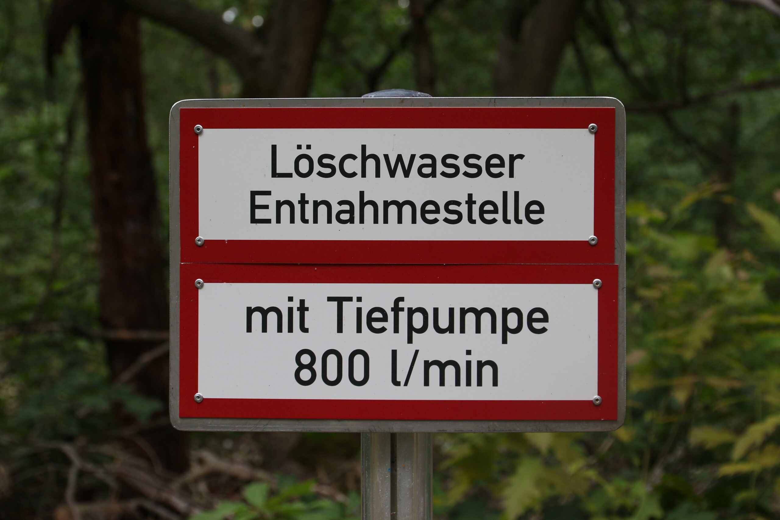 Wald-Dialog Elbe-Elster