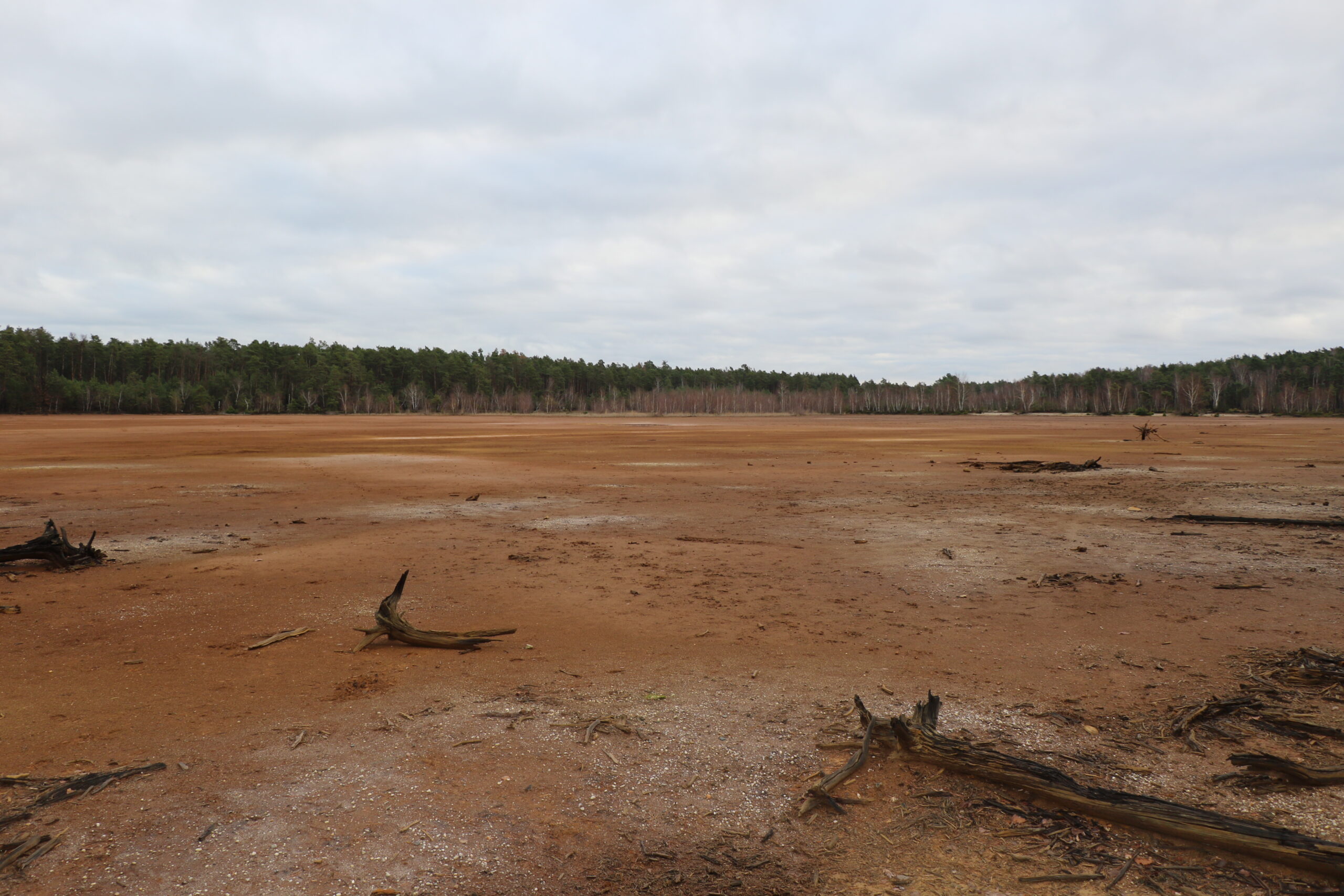 Foto: Stefan Lukas (FIB e.V.)