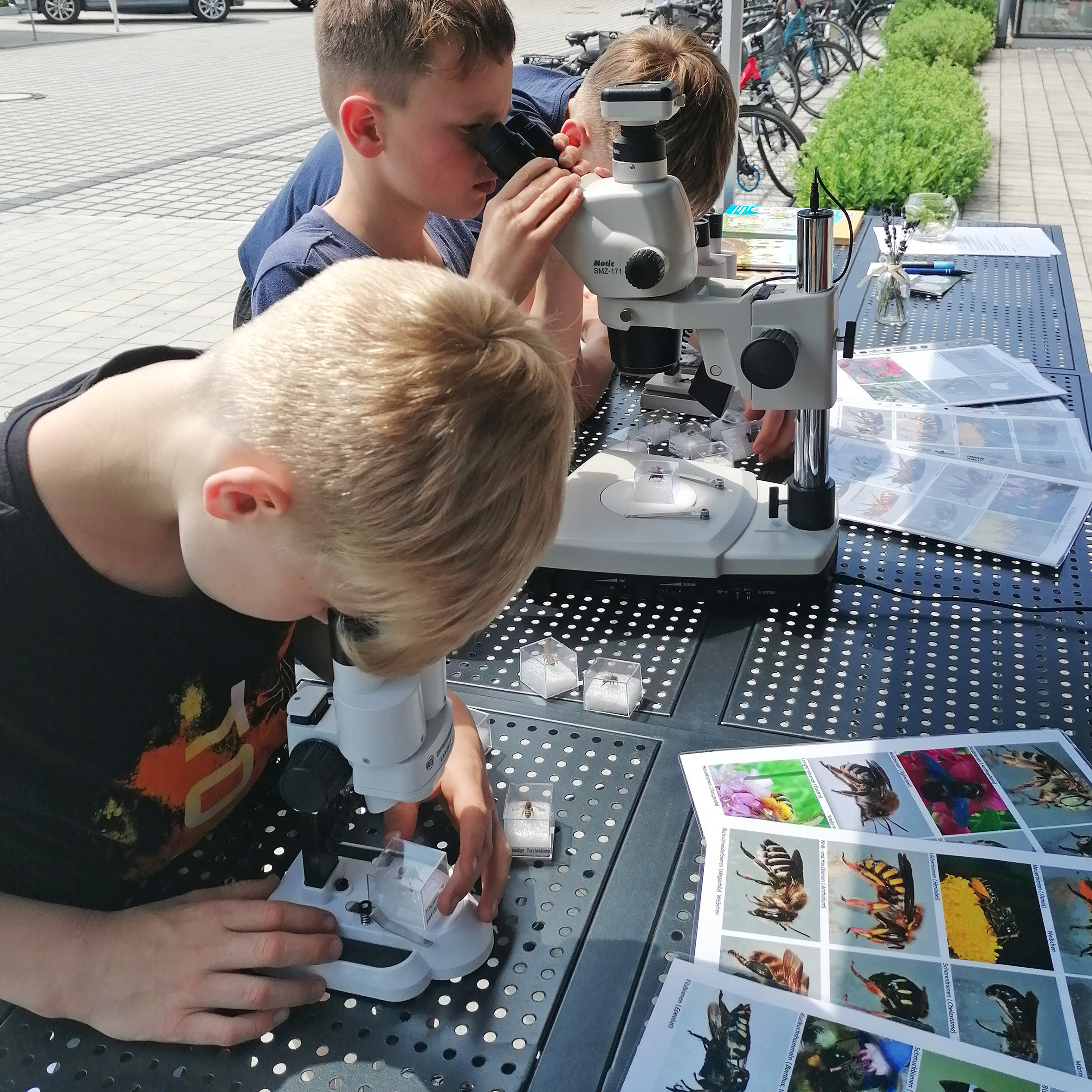 Zukunftstag am 23.4. im FIB